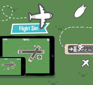 Flight sim