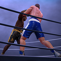 Great boxing
